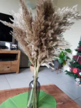 Dried-Plants Pampas-Grass Wedding-Flower Bunch Raw-Color Natural Phragmites 20pcs Communis