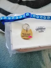 Etiqueta de identificación de Gato de acero inoxidable para mascotas, etiquetas de nombres de mascotas, Collar para gatos, accesorios con teléfono, sexo y etiquetas de nombres, grabado gratis