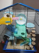 Wheel-Toys Hamster Jogging-Wheel Sports Silent Running-Disc-Toy Pet 2-Colors 3-Size Rotatory