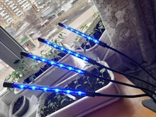 LED Grow Light USB Phyto Lamp Full Spectrum Grow Tent Complete Kit Phytolamp for Plants