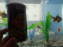 Aquarium Freeze Dried Shrimp Eggs Tropical Small Marine Fish Food Nutrition