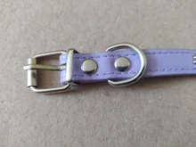 Pet-Necklace-Accessories Spiked Cat-Strap-Collar Puppy Dogs Small Adjustable Studded