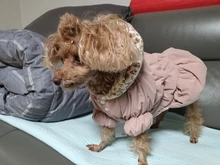 Hoodie Coat Outfit Warm-Dress Girl Dog Winter Princess New Floral 6-Sizes Bubble-Skirt