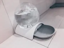 Drinking-Bowl Pets-Water-Dispenser Bubble No-Electricity Automatic Cat for Large