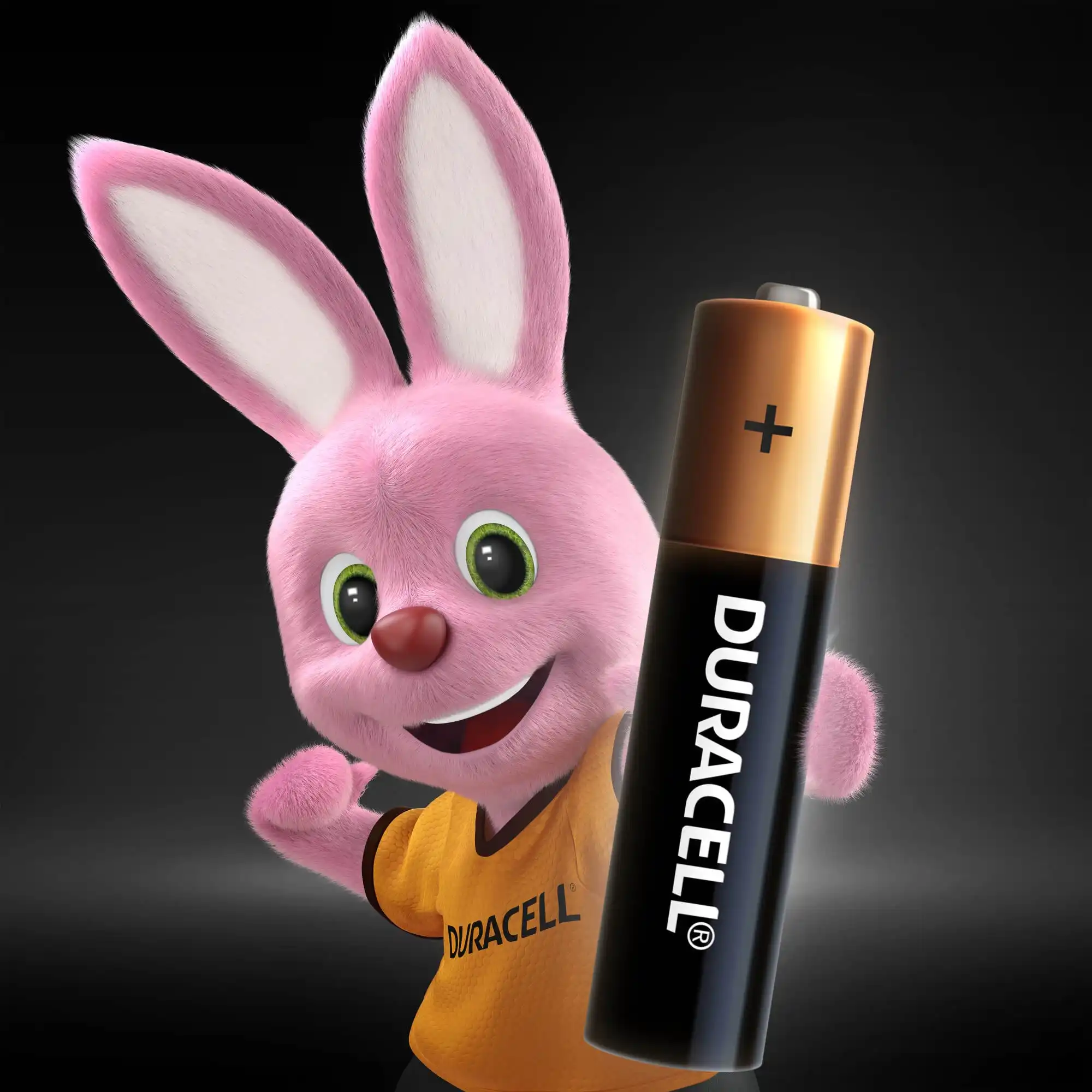 DURACELL Basic AAА Батарейки алкалиновые 1.5V LR03 12шт