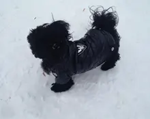 New Arrival Noble Pet Dogs Winter Vest Coat Fur Collar Russia Classic Dogs Clothing Soft