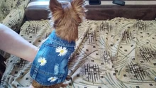 Dog-Vest Jacket Apparel Jeans Puppy Small Dogs Yorkshire Terrier Denim For Chihuahua