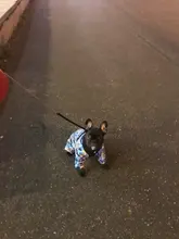 Harness Collar Puppy Walk-Vest Pet-Dog Truelove Small Pets Nylon Breathable Mesh Cat