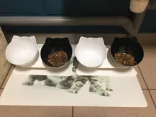 Cat-Bowls Bowl-Supplies Feeders Raised-Stand Double For Cats Dogs Non-Slip with Pet-Food