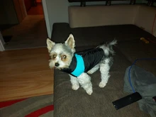 Coat Jacket Pet-Padded-Vest Dogs Zipper Pug Warm Small Para Waterproof Chihuahua Winter