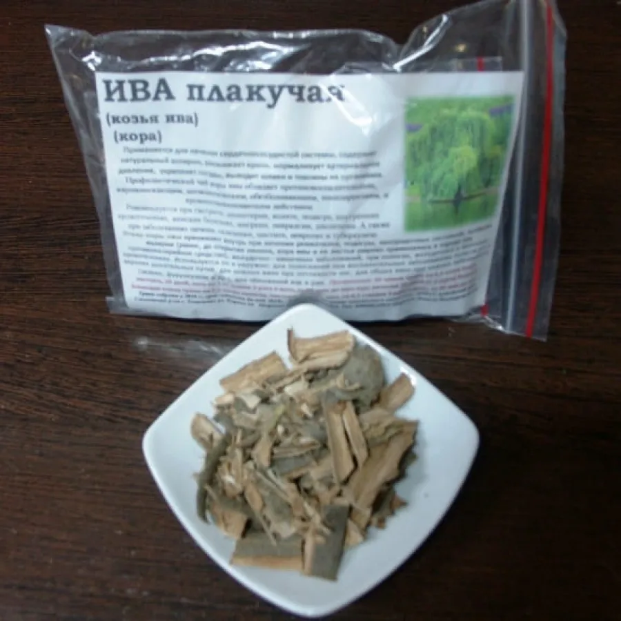 Ива плакучая (белая) (100гр