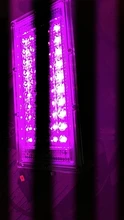 Phyto-Lamp Floodlight Seeding-Lamp Flower Plants-Tent Grow-Box Outdoor Full-Spectrum