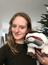 20 pulgadas 50cm tamaño grande Anime Kawaii Avatar el último maestro aire Appa Peluche juguetes serie de TV raro Peluche Minion relleno muñecas chico juguete