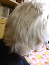 Pelucas de cabello sintético para mujeres negras, pelo rubio Natural corto de raíces oscuras