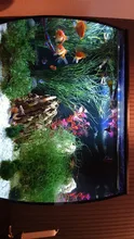 RGB Aquarium Lamp Light Remote-Control Fish-Tank-Essential Colorful Plants for Amphibious-Use