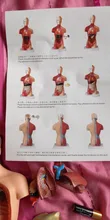 Torso humano cuerpo modelo de anatomía, anatómico médico los órganos internos para la enseñanza Dropshipping. Exclusivo.
