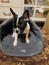 Bed Sleeping-Bag Puppy-Cave-Bed Small Dog Soft-Fleece Warm Cat 4 Winter Pet-Dog Different-Size