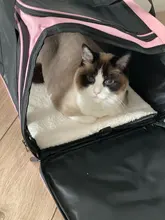 Dog-Carrier-Bag Travel-Bags Dog-Backpack Transport Soft-Side Airline-Approved Cats Small