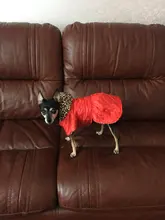 Abrigo con tutú y estampado de leopardo para perros y cachorros ropa de invierno con capucha, chaqueta reversible para perros pequeños