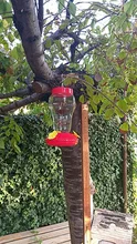 Bottle Pet-Bird-Supplies Hanging-Hummingbird-Feeder Water-Feeder Plastics Garden Outdoor