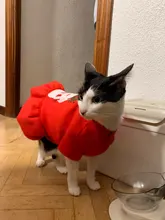 Costume Dog Shirt Dress Christmas Cat-Coat Couple for Small Cats Terrier Ropa Para Perro