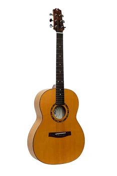 

Rgasntce electro-acoustic guitar, newtone