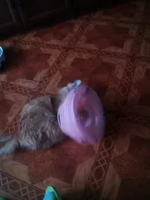 3 Levels Pet Cat Toy Tower Tracks Disc Interacitve Cat Toys Ball Training Amusement Plate