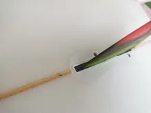 Surf FCS II compatibilidad Kit de Tab de relleno de FCSII tab relleno Kit para FCS aleta II caja FCS clave Grub tabla de Surf tornillos de aletas