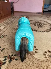 Coats Jumpsuits Overalls Yorkie-Clothing Puppy Dog-Jacket Pet-Dog Small Dogs Waterproof