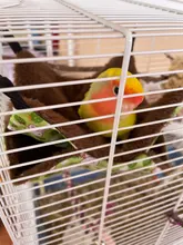 Hamaca de Mascota de doble capa de felpa suave invierno cálido nido colgante cama para dormir mascotas pequeñas Hamster ardilla Casa de Chinchilla