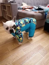 Winter Pet Dog Coat Jacket Thicken Warm Clothes For Dogs Waterproof Reflective Puppy
