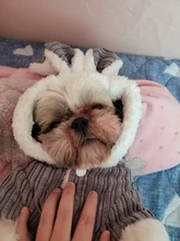 Cute Rabbit Design Dog Hoodie Winter Pet Dog Clothes For Dogs Coat Jacket Cotton Ropa