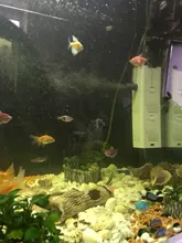 Bomba de filtro 4 en 1 para acuario, generador interno de oxígeno, de aire, de olas, sumergible para pecera