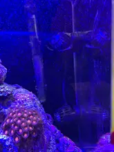 Coral-Cylinder Pump RW-4 RW-15 RW-8 Marine Aquarium SW15 SW8 Wave-Make SW4 Jebao/jecod