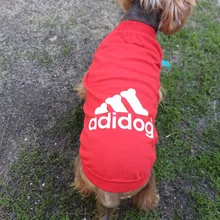 Camiseta de verano para perro grande, chaleco de diseño para Chihuahua, Bulldog Francés, disfraz de moda para cachorro, cara de perro, Primavera