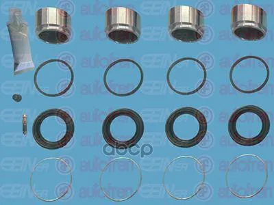 Поршень Seinsa Autofren D42109c Seinsa Autofren арт. D42109C