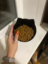 Cat-Bowls Products Pet-Food Raised-Stand Pet-Supplies Cats-Dogs-Feeders Non-Slip Double