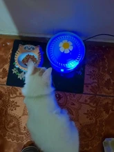 Dispenser-Container Fountain Cat-Bowl Water-Level-Display Electric-Water-Feeder Dogs