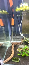 Heater Submersible-Heating-Rod Control-Fish-Tank-Temperature Super-Aquarium 17-35degreecelsius