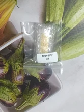 Diode Light-Accessories Filament-Lamp-Parts Led-Bulb Repair White 10pcs DC12V DC3V 