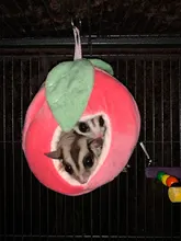 House Chinchilla Hammock-Cage Nest Hamster Sugar Glider Animal-Swing Hide Cute Sleeping-Bed