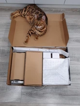 GAPPO-Sistema de ducha termostático, mezclador de agua de ducha, grifos de bañera montados en pared de la Ducha