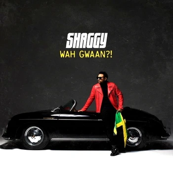 

Shaggy / Wah Gwaan! (2LP)