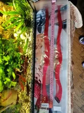 Lupu-extensiones de cabello sintético para mujer, extensiones largas y rectas de color arcoíris, resistentes al calor