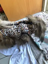 Puppy Vest Coat Clothing Jacket Dogs Chihuahua Waterproof Large Winter Medium Pet-Dog