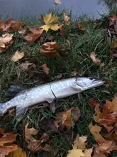 Lures Minnow Wobblers Floating Fishing-Lure Artificial-Baits Crankbait-Bass Carp Hard