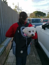 Al aire libre viajes de mascotas de doble bolsa de hombro portátil de viaje mochila al aire libre bolsa de transporte perro mascota frente perro bolsa de malla de mochila de la cabeza