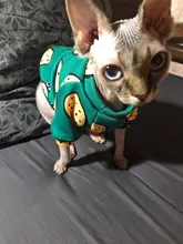 Ropa de gato para gatos, disfraz de gato de invierno, Sudadera con capucha, suéter, ropa de cachorro mascota, productos para gatos