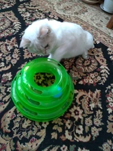 Three-Levels Tower-Tracks-Disc Ball Cat-Toys Interactive-Training-Amusement-Plate Cat-Intelligence