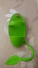 Vegetable-Holder Bird-Supply Parrot-Feeder Hanging Food-Container Plastic Fruit